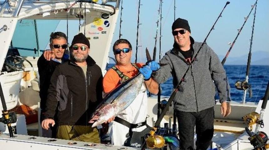 Bodrum&rsquo;da Balık Avlama Heyecanı