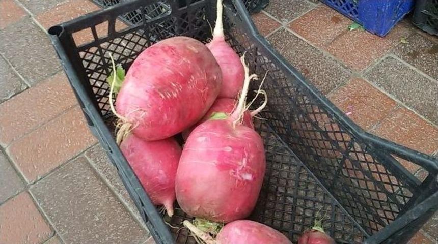 Mahkumların Yetiştirdiği Turplar G&ouml;renleri Hayrete D&uuml;ş&uuml;r&uuml;yor