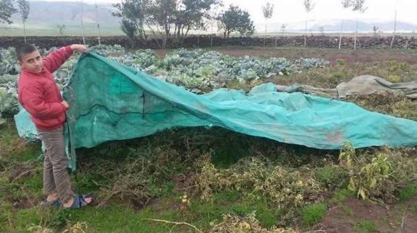 Bitlis&rsquo;te Sebzeler Soğuktan Naylonla Korunuyor