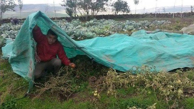 Bitlis’te Sebzeler Soğuktan Naylonla Korunuyor