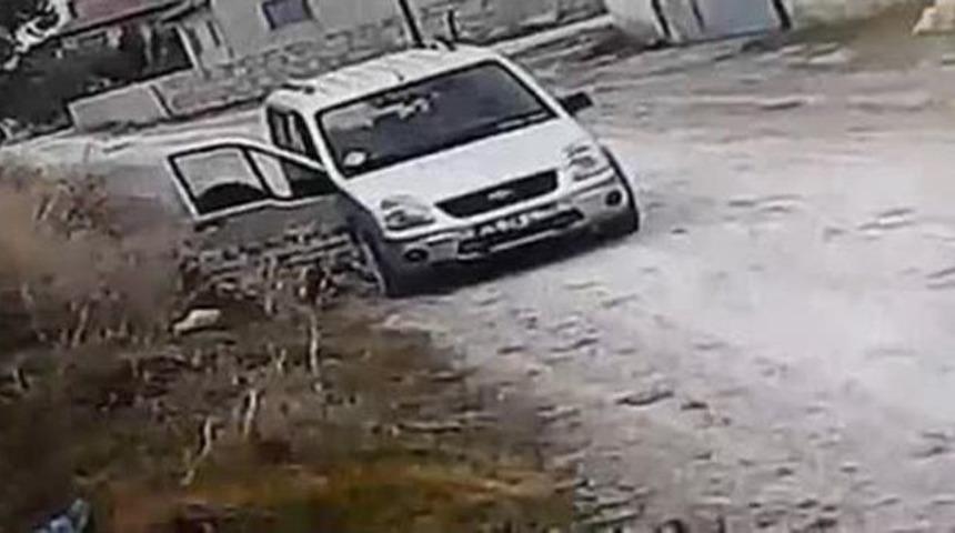 Yavru Kedilerin Sokağa Bırakılarak K&ouml;peklerce Telef Edilmesi