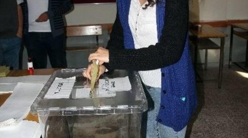 Adanalı Sandığa Gitti