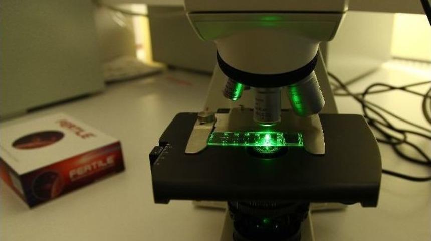 T&uuml;p Bebekte &ldquo;&ccedil;ip&rdquo; Teknolojisi İki Poster Sunumuna Konu Oldu