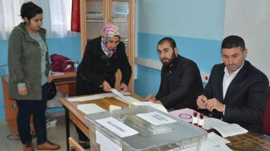 Tatvan&rsquo;da Oy Kullanma İşlemi Sona Erdi