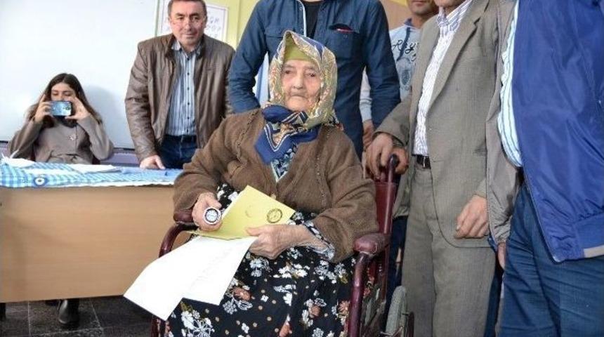 Asırlık Çınar Oyunu Kullandı