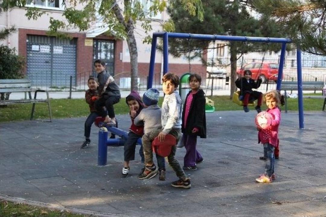 Oy Sonrası Piknik Keyfi