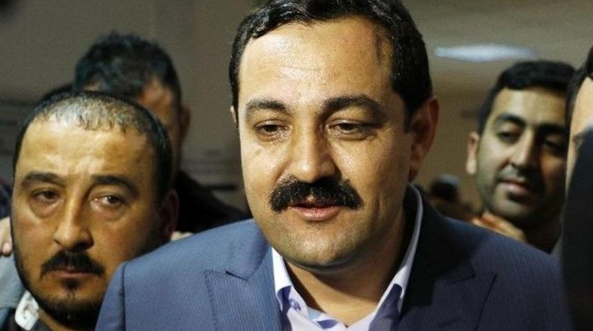 S&uuml;mer&rsquo;den Se&ccedil;im Değerlendirmesi