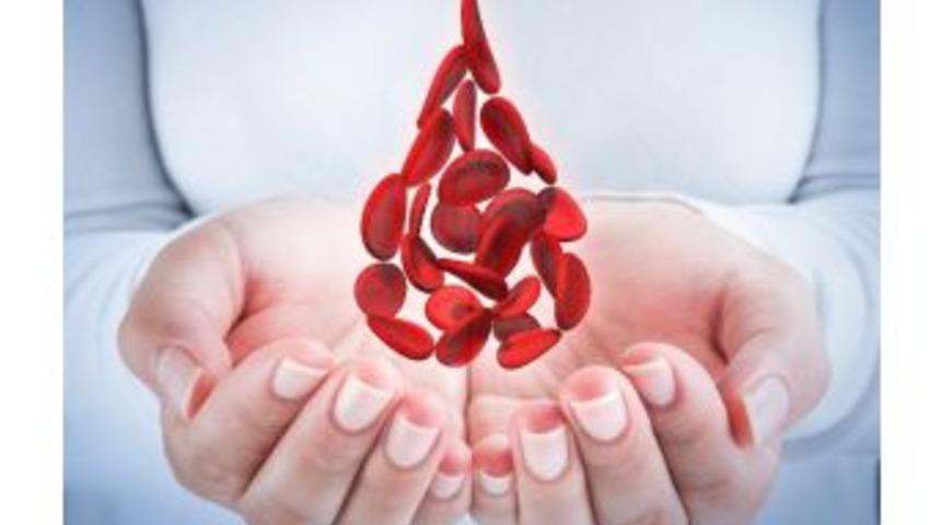 Prof. Dr. Uyanık: “kan Bağışı Sadece Bağış Yaptığınız Kişi İçin Değil; Sizin İçin De Yararlı”