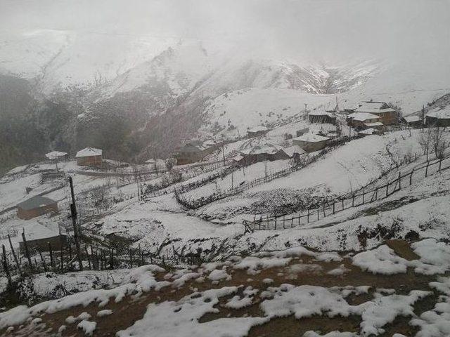 Giresun’da Yaylalar Beyaza Büründü