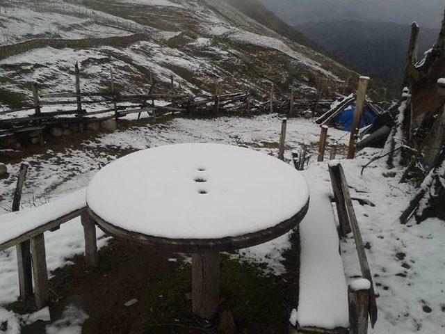 Giresun’da Yaylalar Beyaza Büründü