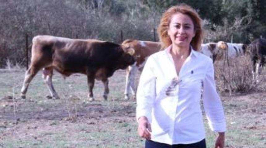 Expo 2. Canlı Hayvan Fuarı, Kuşadası&rsquo;nda Başlıyor