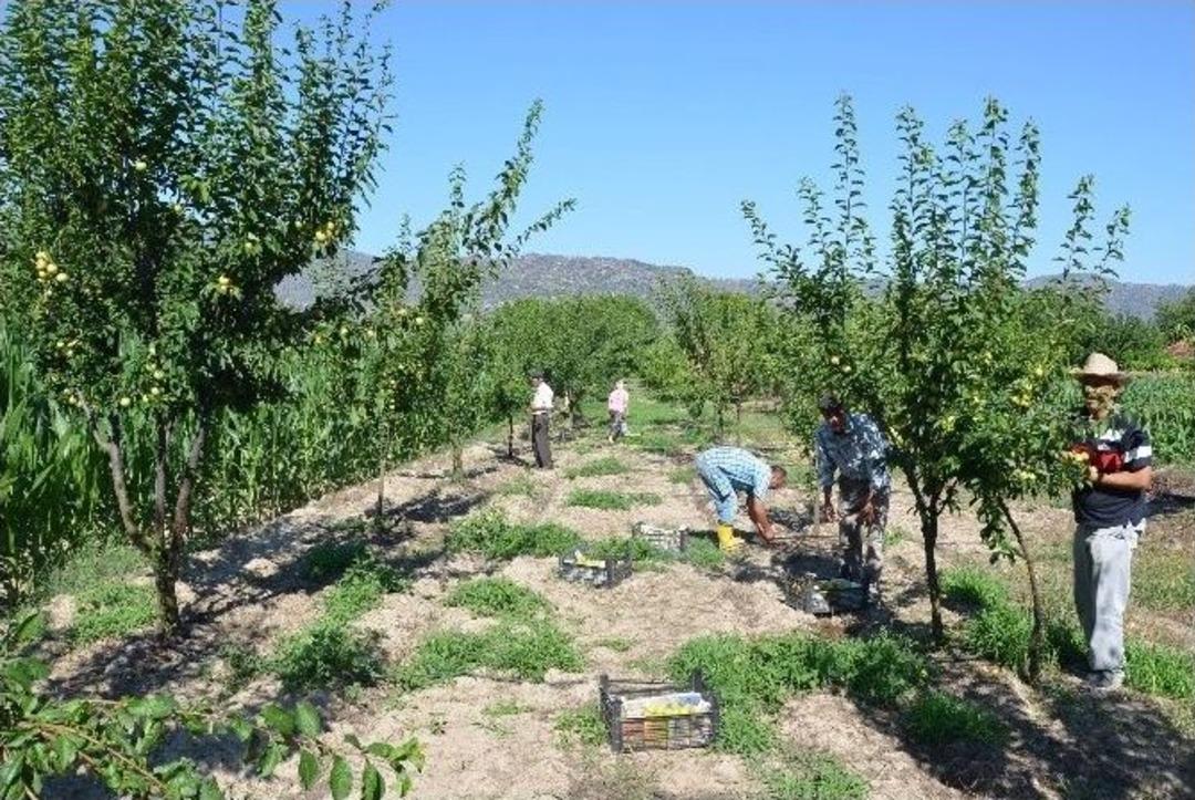 Hemşerileri İ&ccedil;in En İyi T&uuml;r&uuml; Araştırıyor