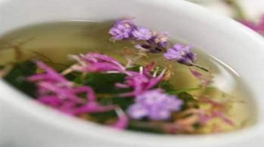 Hangi kansere hangi bitki iyi geliyor?