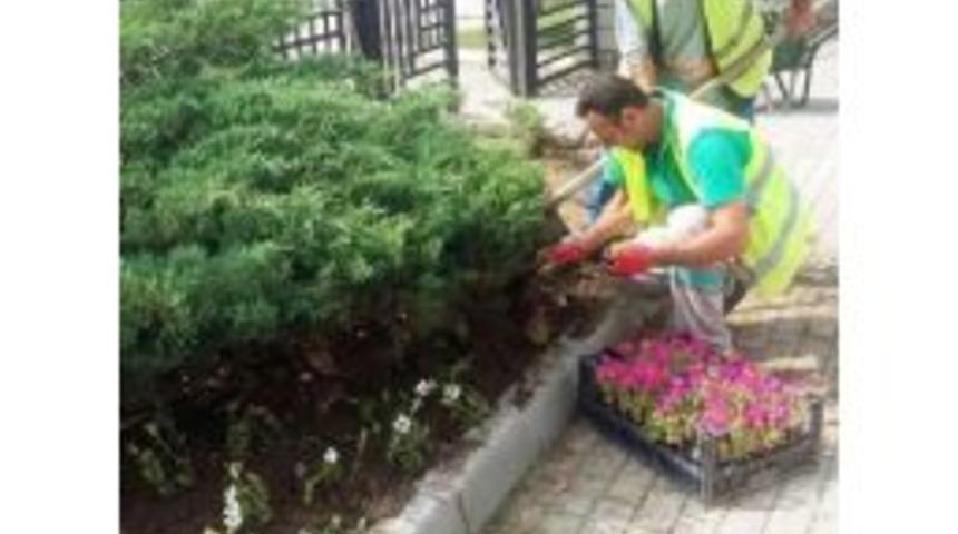 Yıldırım &Ccedil;i&ccedil;ek A&ccedil;tı