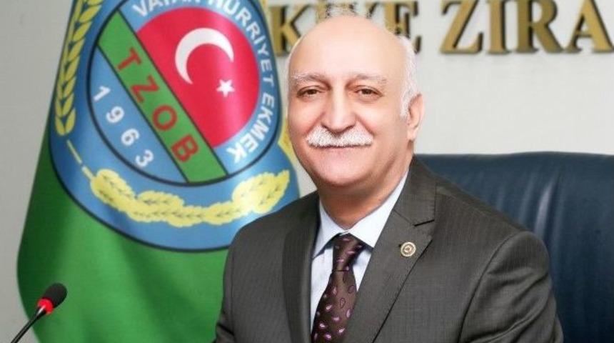 Antalya&rsquo;da Turuncu Hasat Başladı