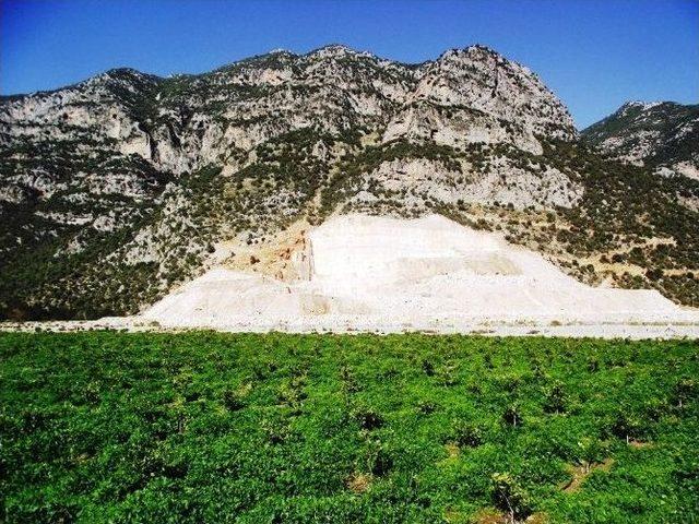 Antalya’da Turuncu Hasat Başladı