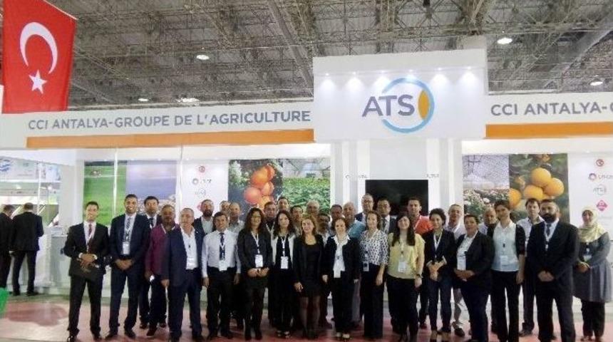 Atso Tarım K&uuml;mesi Afrika&rsquo;da