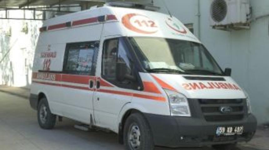 Tavuk Y&uuml;z&uuml;nden Birbirlerine Girdiler