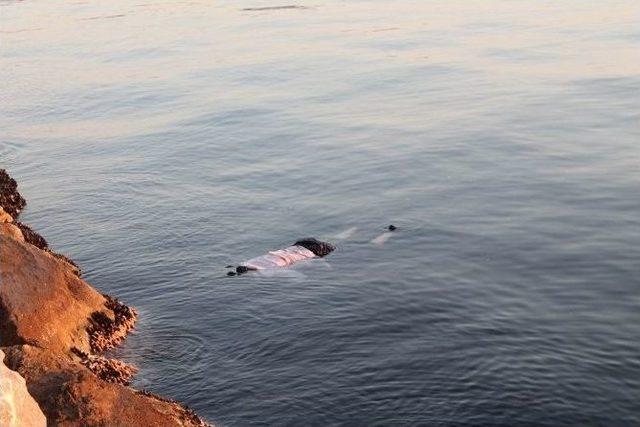 Gemlik’te Denizde Kadın Cesedi Bulundu