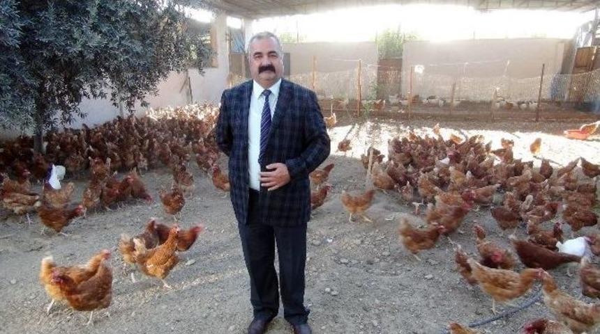 (&ouml;zel Haber) Silifkeli Tavuk&ccedil;udan Muharrem İnce&rsquo;ye Ortaklık Teklifi