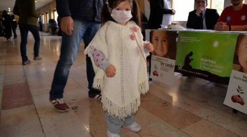 7 Yaşında Nakil B&ouml;brekle Hayata Tutundu...(&ouml;zel Haber)