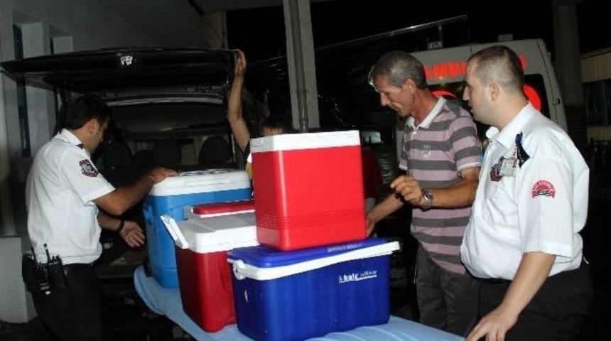 Ordu Organ Bağışında Atakta