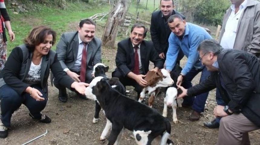 Tarım M&uuml;d&uuml;rl&uuml;ğ&uuml;nden D&ouml;rd&uuml;zlere Ziyaret