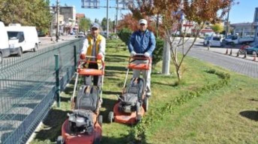 Park Ve Ref&uuml;jlerde &Ccedil;im Bi&ccedil;me &Ccedil;alışmaları Başladı