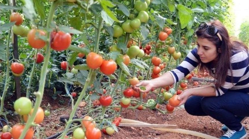 Ezo&rsquo;nun Tarım Danışmanları Sahada