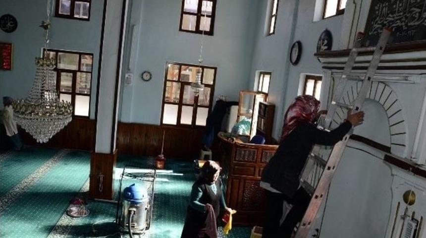 Yığılca Her Alanda Hizmet Veriyor