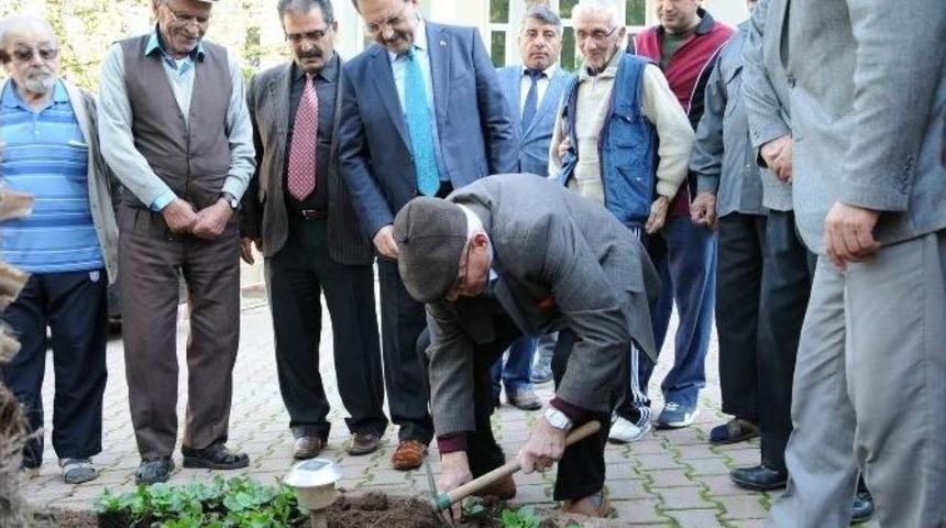Başkan Şahin, Huzurevi Sakinleriyle Birlikte &Ccedil;i&ccedil;ek Dikti