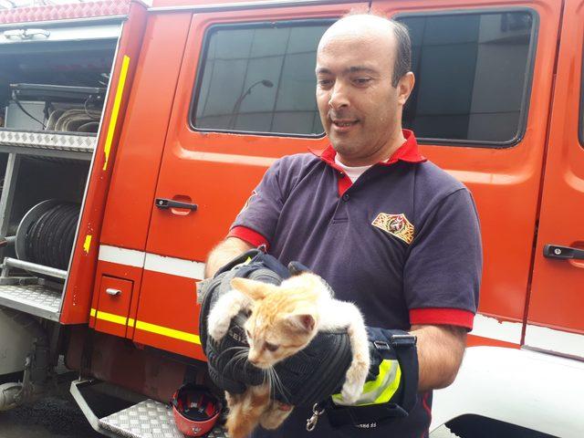 Aracın motoruna giren yavru kedi, 3 saatte kurtarıldı