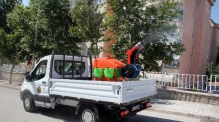 Yenimahalleli Haşeresiz Bir Yaz Ge&ccedil;irdi