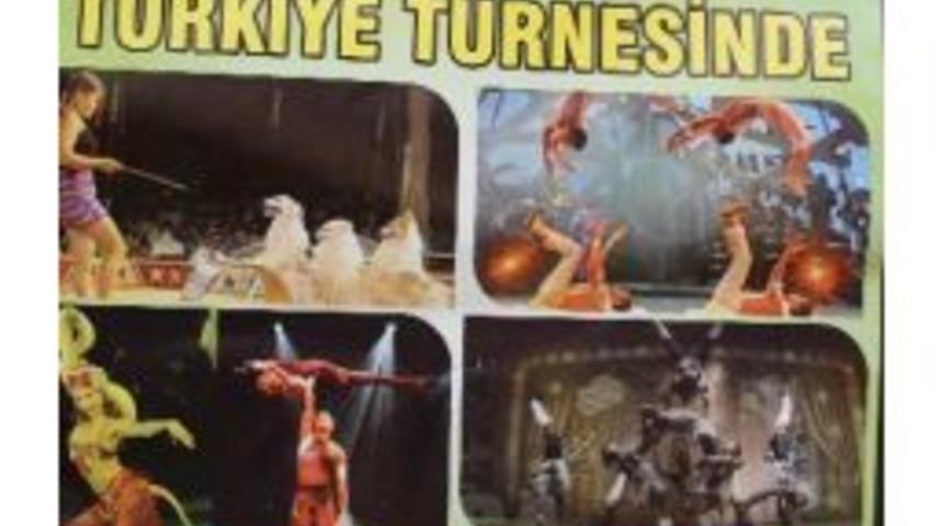 Afrika Sirki Kilis&rsquo;e Geliyor