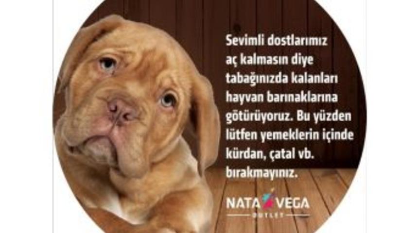 Nata Vega Outlet&rsquo;ten Sokak Hayvanlarına Destek