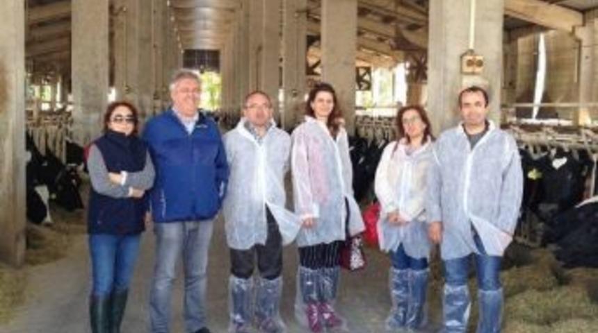 Burhaniye Kaymakamı Hayvancılık İşletmelerini Ziyaret Etti