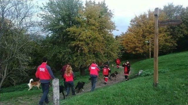 Arama-kurtarma Köpekleri Böyle Eğitiliyor