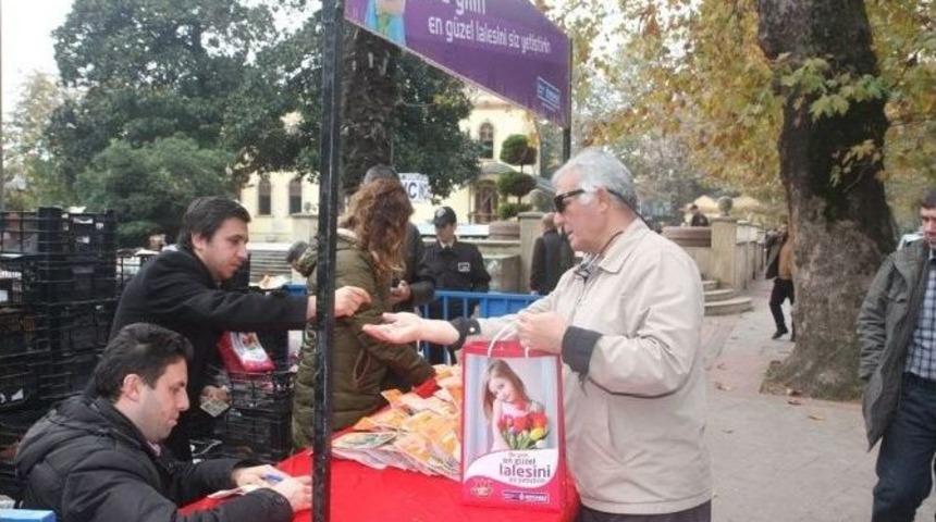 Kocaeli Lale&rsquo;ye Doyacak