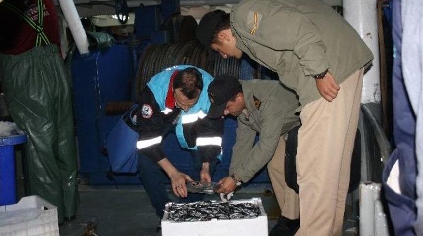 Balık Avı Denetimi Devam Ediyor