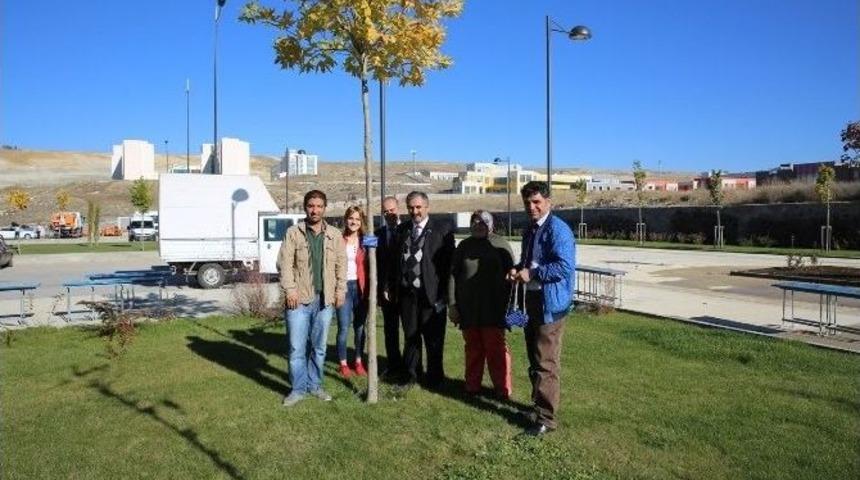 İsimlerini &Uuml;niversite Kamp&uuml;s&uuml;ndeki Ağa&ccedil;larda Yaşatacaklar