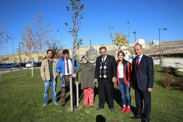 İsimlerini Üniversite Kampüsündeki Ağaçlarda Yaşatacaklar