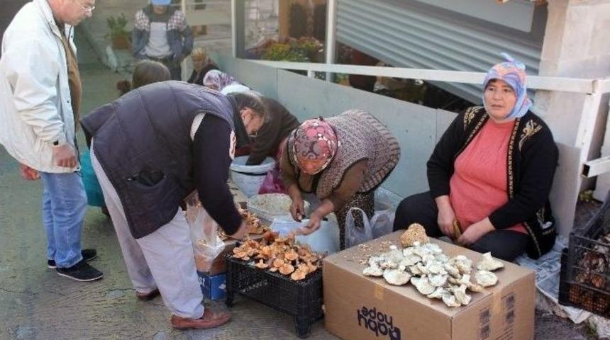 &Ccedil;ıntar Mevsimi Başladı