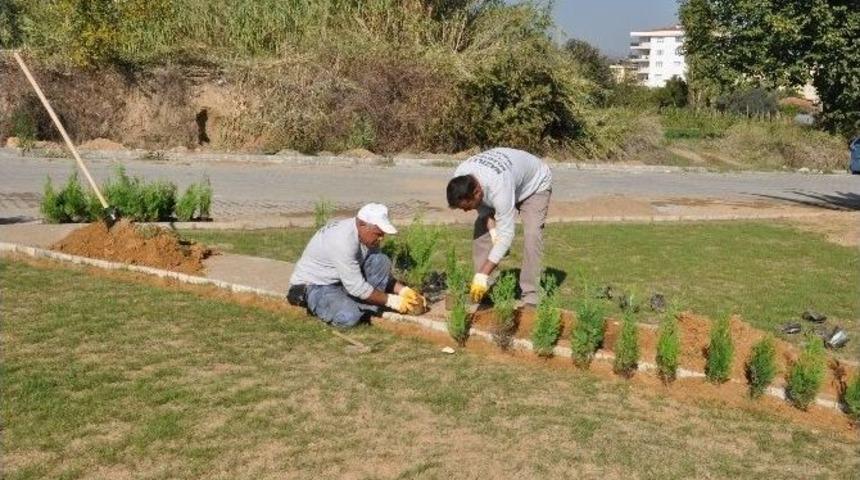 Nazilli&rsquo;de Yeşillendirme &Ccedil;alışmaları S&uuml;r&uuml;yor