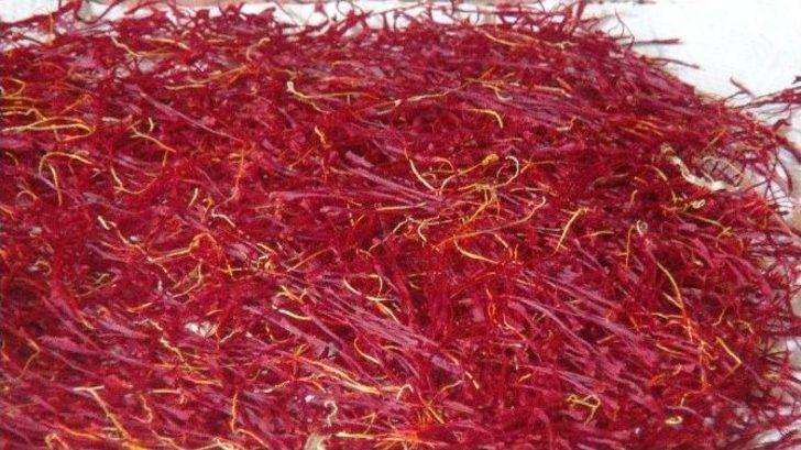 Hatay’da Safran Hasadı Başladı G3