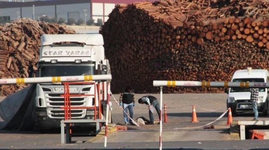 Tır S&uuml;r&uuml;c&uuml;s&uuml; Dorseden D&uuml;şerek &Ouml;ld&uuml;