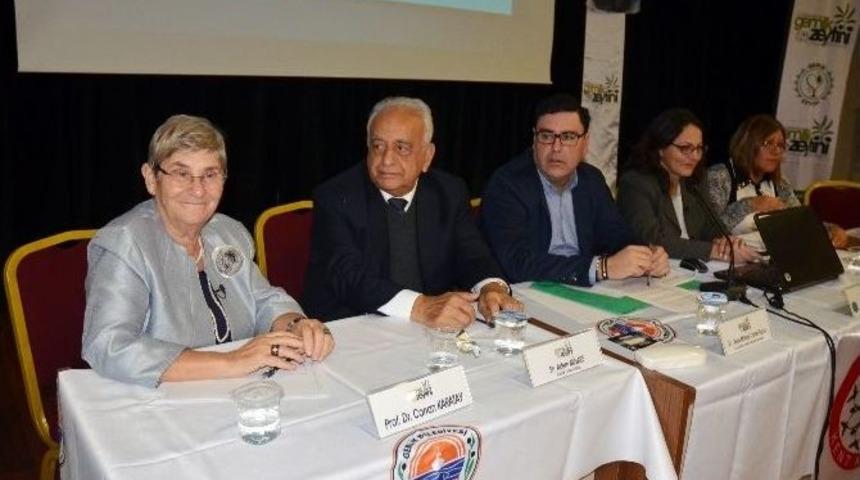 Canan Karatay: "en Sağlıklı Meyve Zeytin, Meyve Suyu Da Zeytinyağıdır"