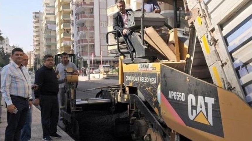 &Ccedil;ukurova&rsquo;da Asfalt Seferberliği