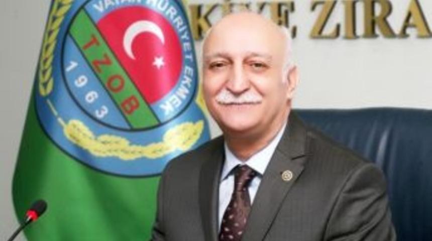 Aralık Ayında Havu&ccedil; Ucuzladı, Kabak Tavan Yaptı