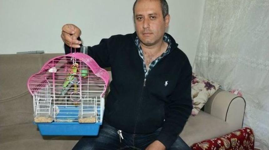 (&ouml;zel Haber) Cumhurbaşkanı Erdoğan Hayranı Kuş