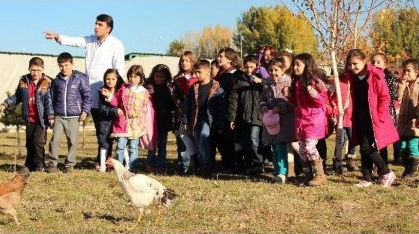 B&uuml;y&uuml;kşehir Hayvan Bakımevi&rsquo;nde Kış Hazırlıkları